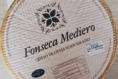 fonseca-mediero-07